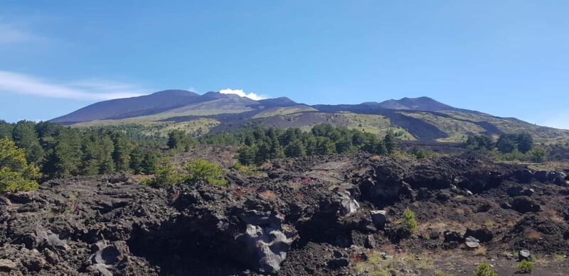 Etna and surroundings with honey tasting - Honey Tasting from Volcanic Slopes