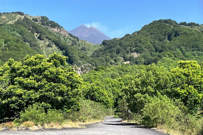ETNA and TAORMINA departing from PALERMO, Private Tour - Flexibility at Mount Etna: Free Time and Optional Excursions