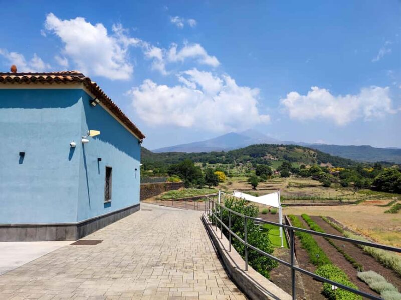 Etna Aromatic Experience: Scents of Sicily and Signature Flavors - Tasting Typical Sicilian Products After the Walk