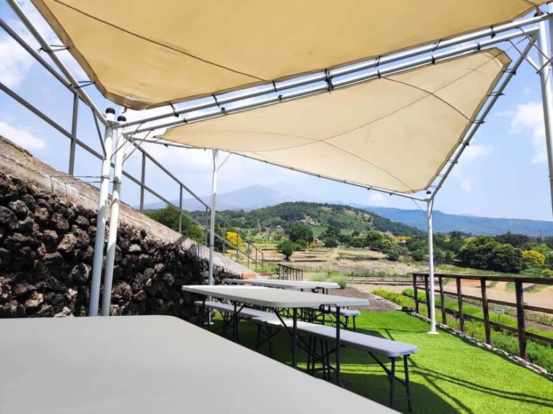 Etna Aromatic Experience: Scents of Sicily and Signature Flavors - Language Options and Tour Guide Experience