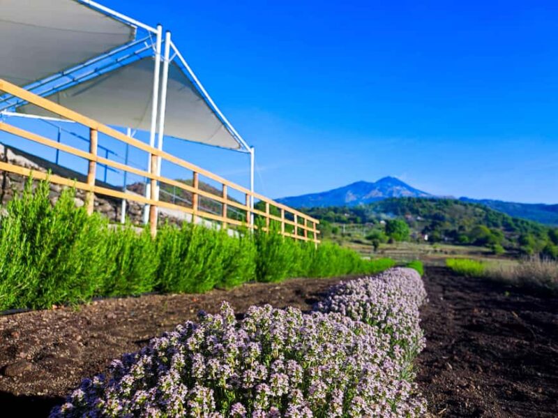 Etna Aromatic Experience: Scents of Sicily and Signature Flavors - Value Proposition and Booking Flexibility