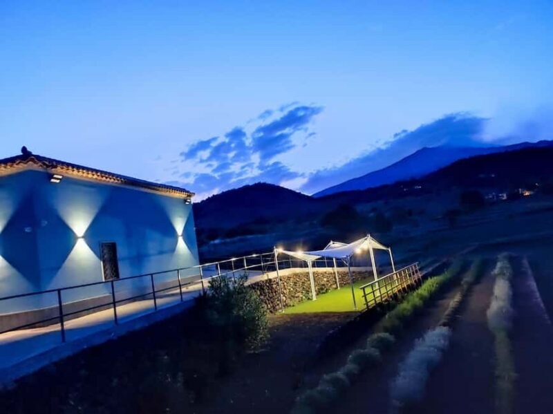 Etna Aromatic Experience: Scents of Sicily and Signature Flavors - Suitable Audience and Final Thoughts