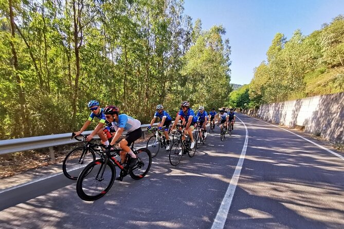 Etna Bike Tour - Cycling in Sicily - Logistics: Meeting Point and Duration