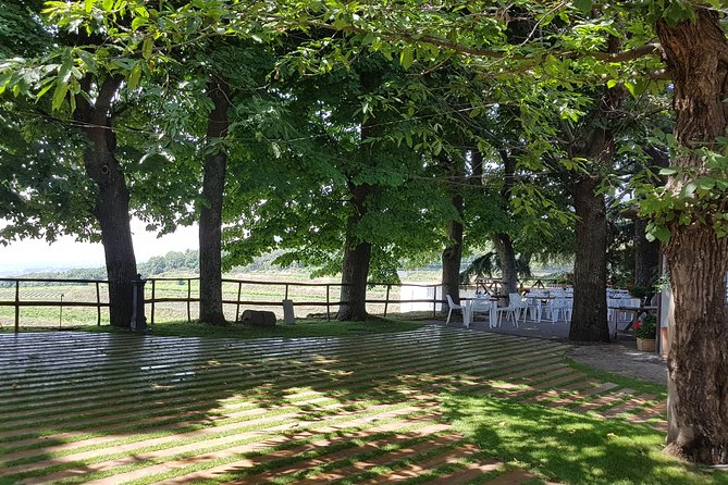 Etna Classic & Winery (day trip) - The Stops: Mount Etna’s Silvestri Craters and Gambino Winery