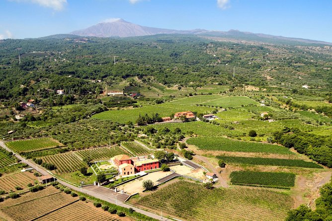 Etna DOC & Organic Wine tasting and tour of the 1815 historic winery - Who Will Love This Experience