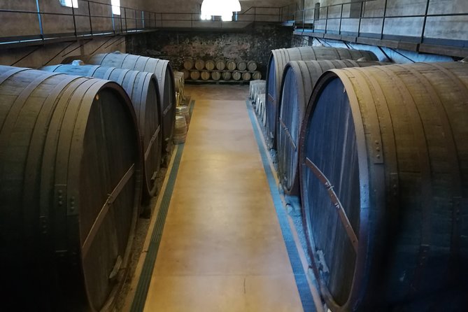 Etna Excursion and Lunch - Wine Tasting in Etna DOC Vinery - Who Will Love This Tour?