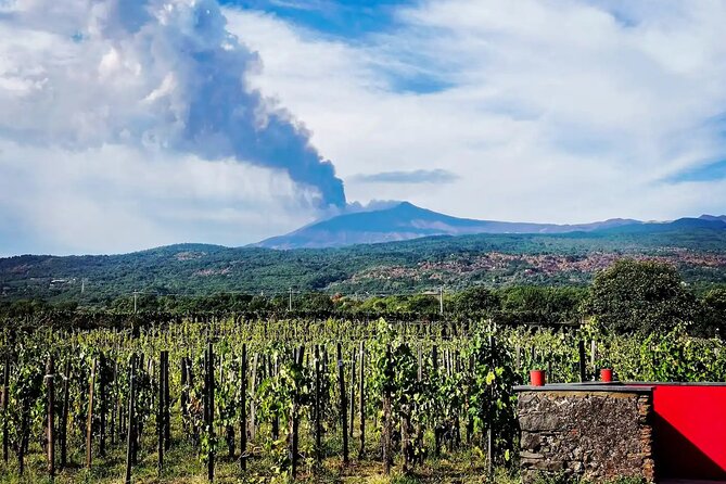 Etna excursion and wine tasting with Sicilian lunch - Cultural and Scenic Highlights of the Off-Road Drive