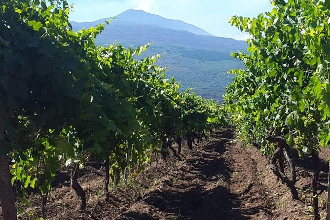 Etna excursion and wine tasting with Sicilian lunch - The Flavors of Sicily: Sicilian Lunch and Wine Tasting