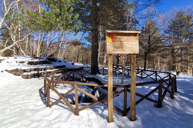 Etna excursion and wine tasting with Sicilian lunch - Practical Details: Duration, Group Size, and Booking Tips