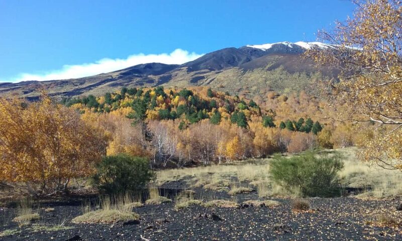 Etna excursion from Taormina and surroundings - Value and Flexibility