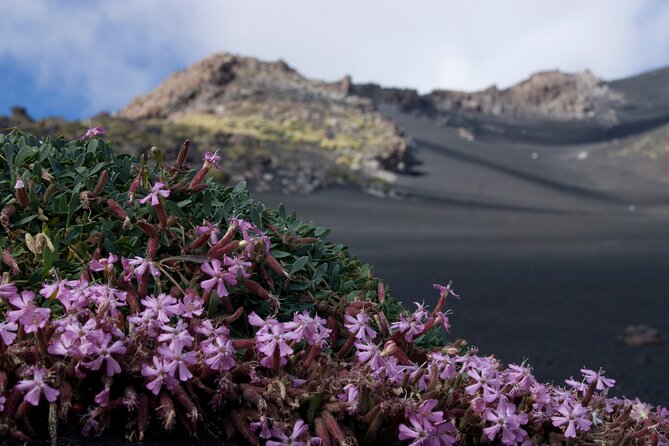 Etna Morning or Sunset - Trek & Lava Tunnel with Gear - Exciting Adventure on Etna for Just $68.50