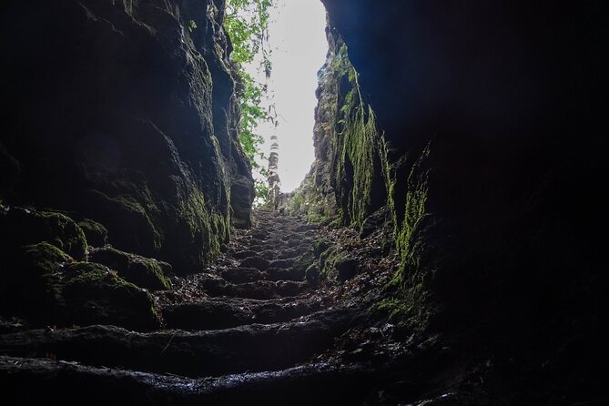 Etna Morning Tour, caves and craters - Exploring the Natural Cave on Mount Etna