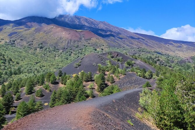 Etna Morning Tour, caves and craters - Safety and Equipment Provided