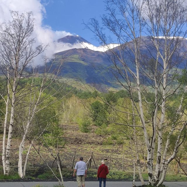 Etna Morning Tour, caves and craters - Exploring Extinct Lateral Craters