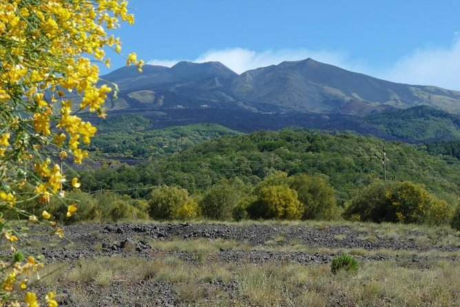 Etna morning tour from Syracuse - Meeting Point and Transportation from Syracuse