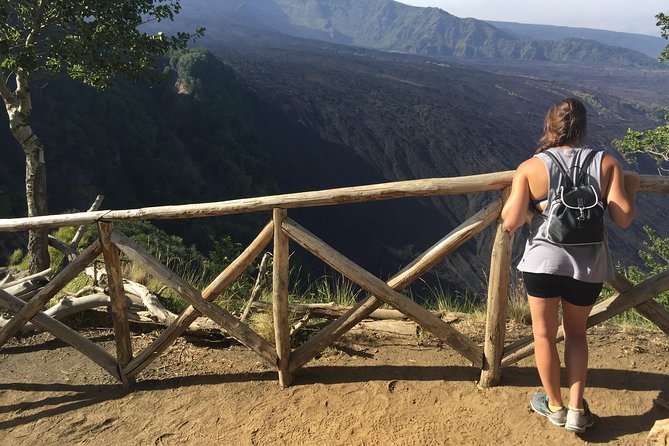 Etna Morning Tour (starting from Catania) - Overlooking Valle del Bove