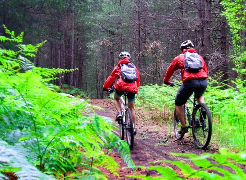 Etna: Mountain Bike or E-Bike Tour on Mount Etna - Discover Mount Etna on a Mountain Bike or E-Bike Tour