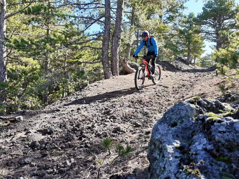 Etna: Mountain Bike or E-Bike Tour on Mount Etna - Key Points