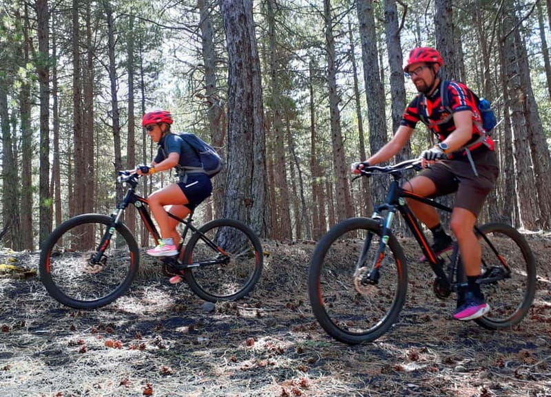 Etna: Mountain Bike or E-Bike Tour on Mount Etna - Equipment and Bike Options: Muscle Bikes and E-Bikes