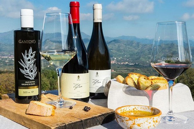 Etna panoramic private tour+Wine taste&food combination(AMAZING) - Wine Tasting at Tenute Orestiadi - La Gelsomina