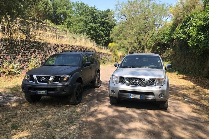Etna private tour in 4x4 & Sicilian food farm experience - Key Points