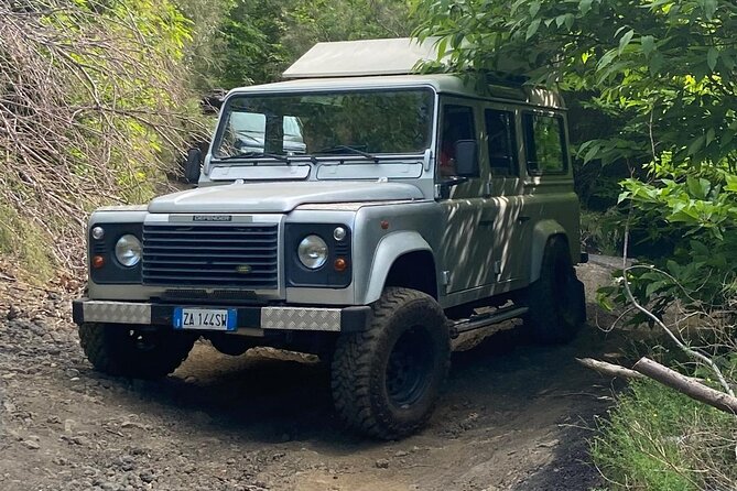 Etna private tour in 4x4 & Sicilian food farm experience - Transportation and Logistics Details