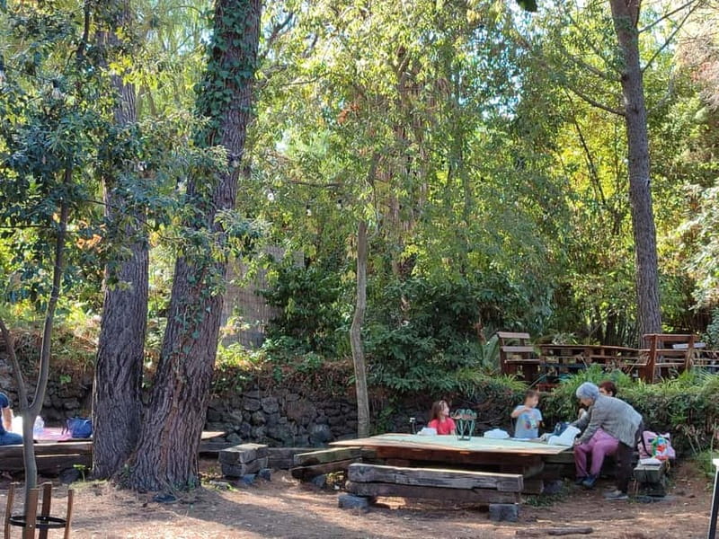 Etna & Sea: Pic Nic in Batia - Explore the Unique Etna & Sea: Picnic in Batia Experience in Sicily