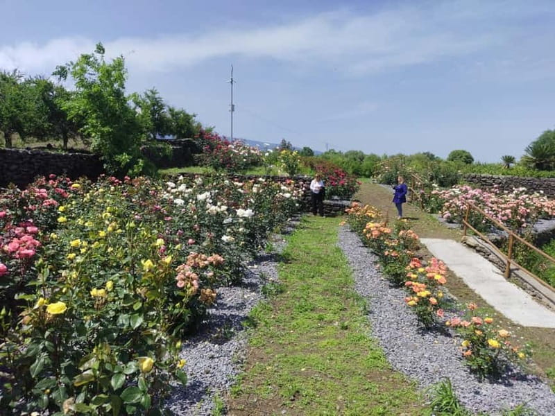 Etna & Sea: Pic Nic in Batia - What’s Included in the Picnic Experience