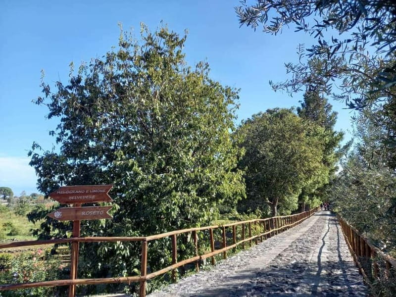 Etna & Sea: Pic Nic in Batia - The Experience Provider and Host