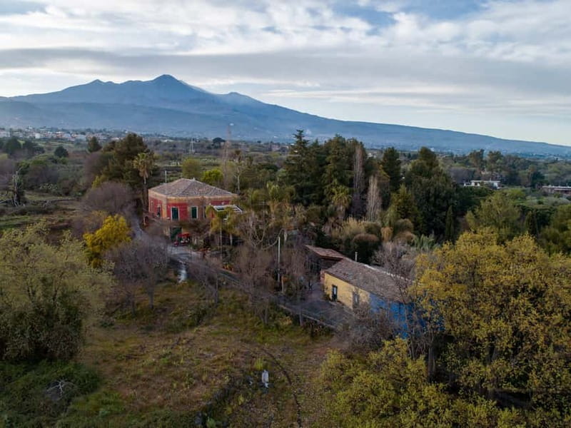 Etna & Sea: Pic Nic in Batia - Who Will Love This Experience Most