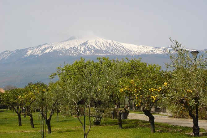 Etna Sunset Tour 3.000 from Taormina - Who Will Appreciate This Tour Most?