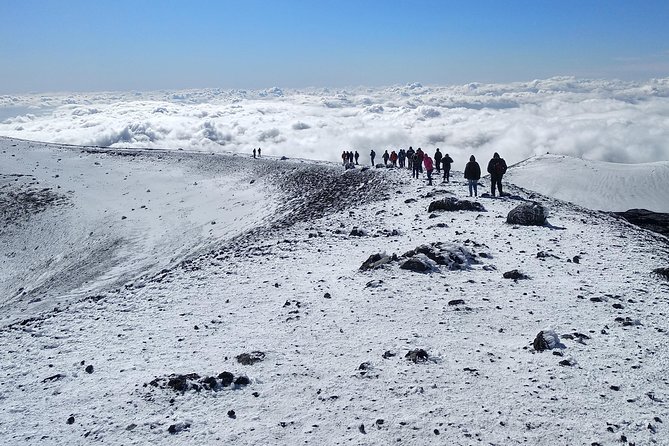 Etna Tour - HalfDay Small Group & licensed Tour Guide - Customer Praise for the Guide and Overall Experience