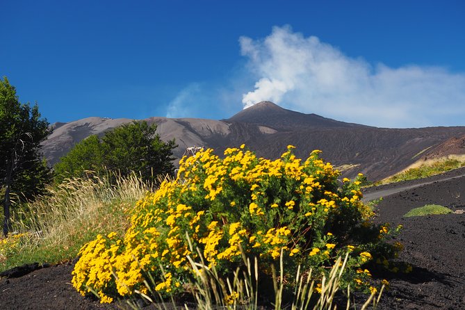 ETNA - Trekking to the Craters Eruption of 2002 - Impressive Views and Close Encounters with Eruption History