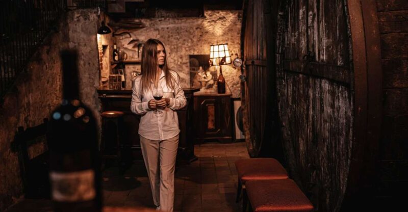 Etna Urban Winery, Vineyard Walk & Sunset Tasting Dinner - Explore Sicily’s Unique Urban Winery and Vineyard Walk