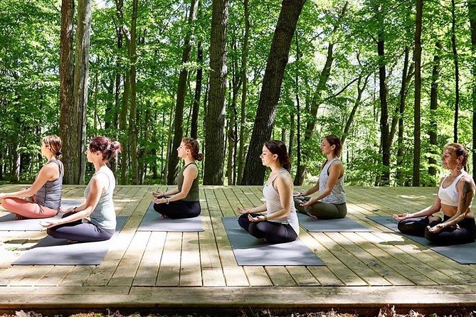 Etna Volcanic Yoga and Meditation - Private Experience - Key Points