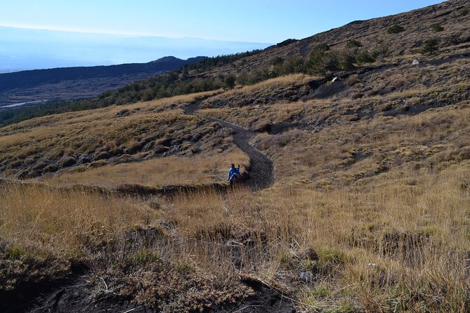 Etna Wine: discovering the volcano & enjoying a wine tasting - Key Points