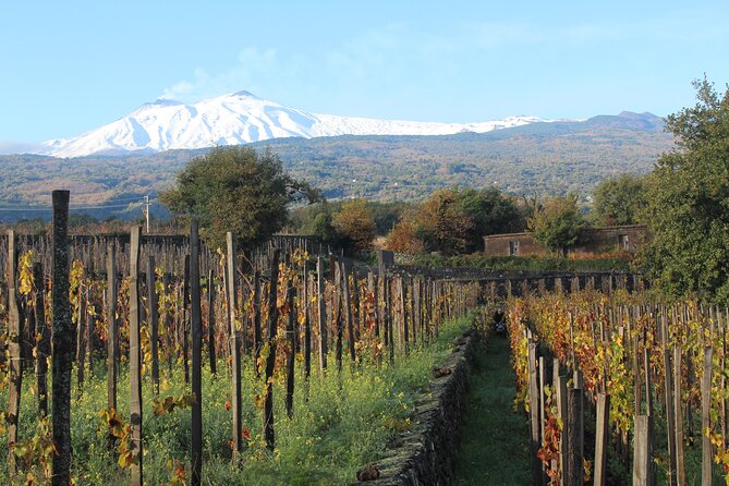 Etna Wineries Tour - Practical Details: Meeting Points and Booking