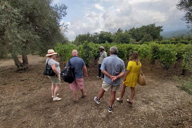 Etna Wineries Tour - Small Groups from Taormina - Tour of the First Winery and Wine Tasting Experience