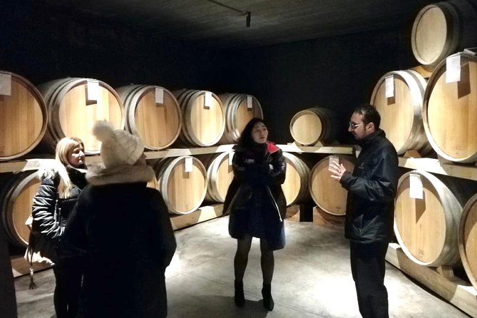 Etna Wineries Tour - Small Groups from Taormina - The Scenic Drive and Views of Mount Etna