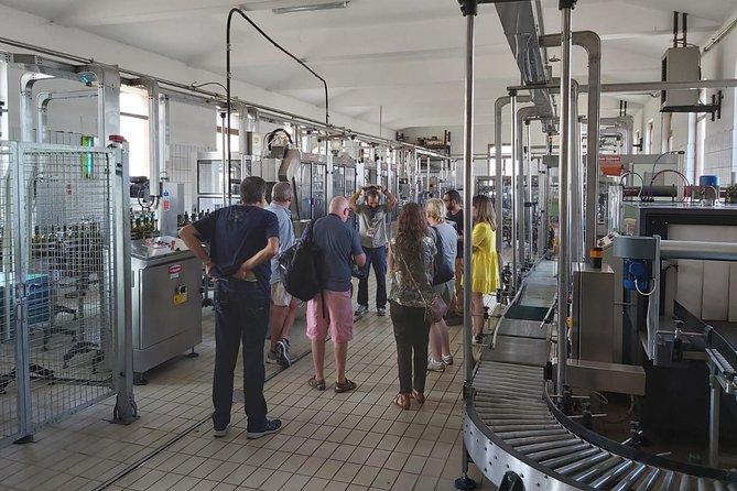 Etna Wineries Tour - Small Groups from Taormina - Practicalities and Accessibility