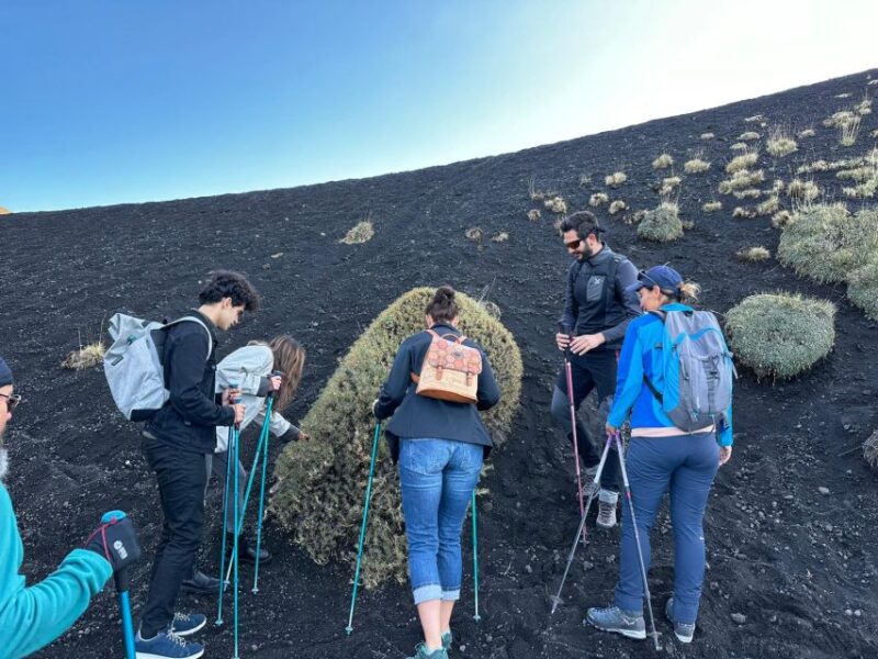 Etna's Hidden Gems - Trek Valle Bove & Lava Tunnel with Gear - Why This Tour Offers Something Different from Other Etna Excursions