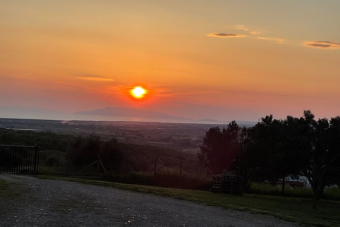 Etruscan Cooking Class in Tarquinia - Cooking, Tasting, and Wine Pairing