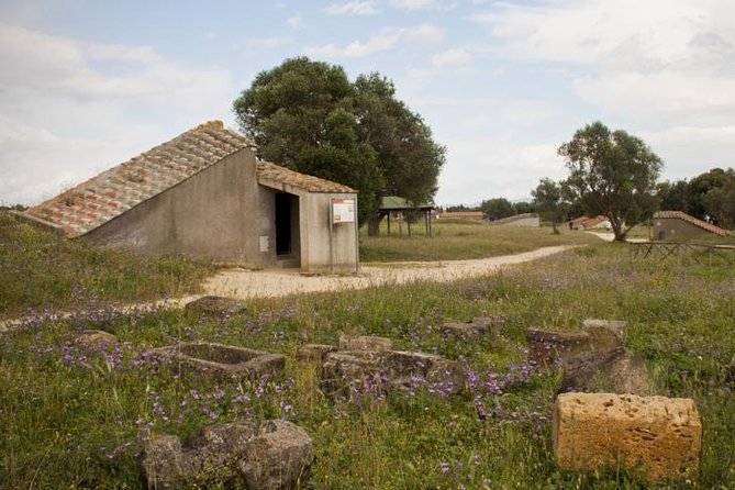 Etruscan Wonders (Driver Only/Self Touring) - Unique Private Day Trip to the Etruscan World for Up to Three People