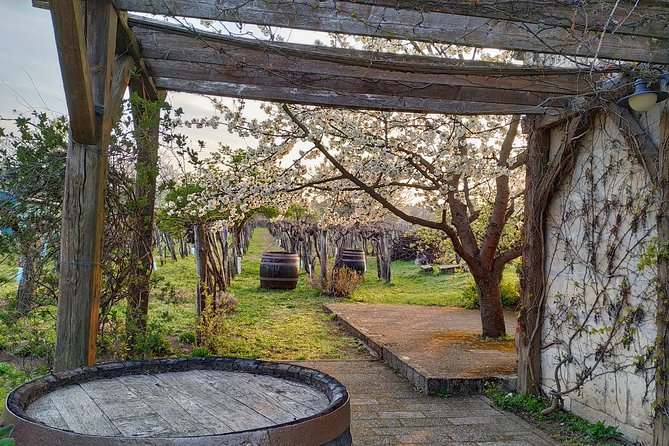 ETYEK wine trip - Just a stones throw away from Budapest - Explore the Etyek Wine Region in Comfort and Style