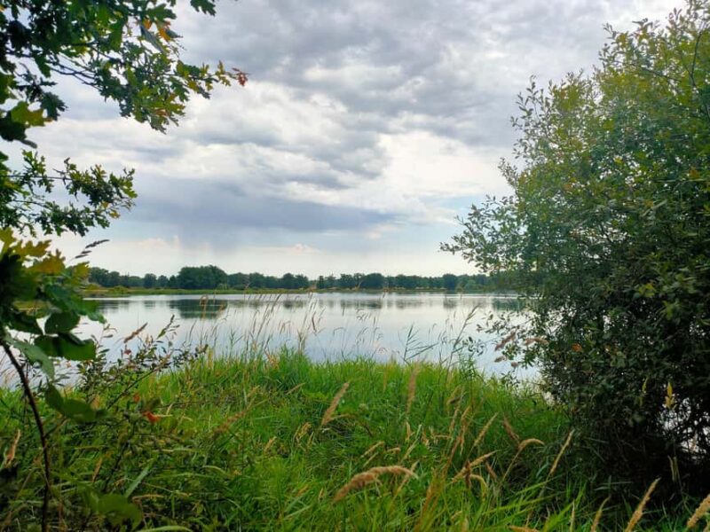 Évaux-les-Bains: Road trip in eastern Creuse, from cities to valleys - Exploring the Natural Heritage at Étang des Landes