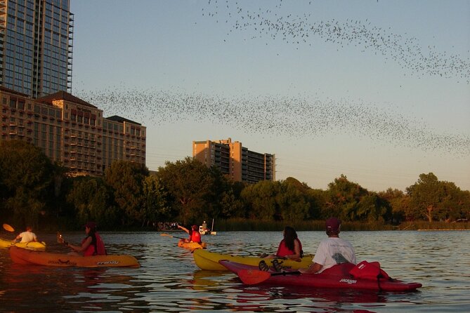 Evening Bat Watching Kayak Tour - Final Thoughts on the Austin Bat Kayak Tour