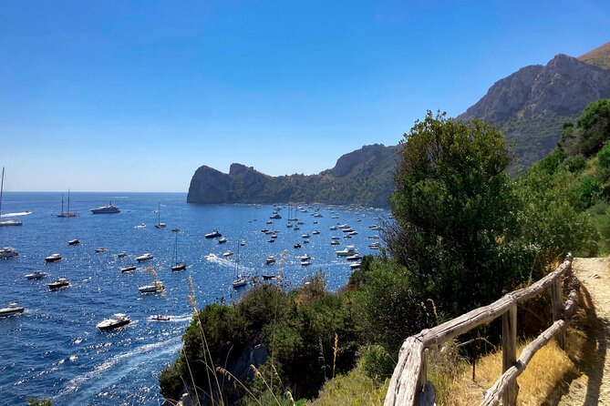 Evening Boat Tour with Dinner Experience - Optional Extras and Additional Costs