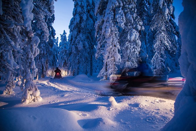 Evening Escape - Snowmobile safari and campfire in Rovaniemi - Aurora Borealis: A Hopeful but Not Guaranteed Sight