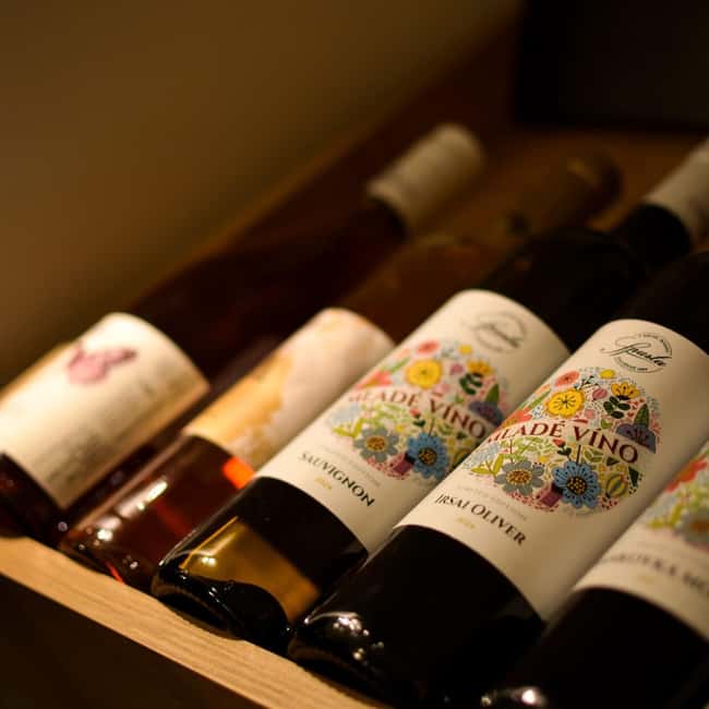 Evening Essential Bratislava Tour & Wine Tasting from Vienna - The Atmosphere and Crowd Levels at Night