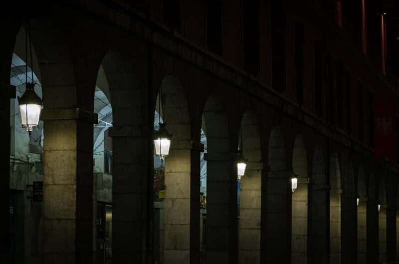 Evening Guided Tour of Chambéry  City of the Dukes of Savoy - Starting Point at the Elephants Fountain
